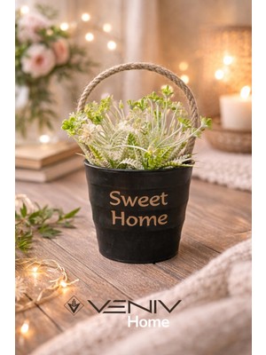 Veniv Dekoratif Sepet Saksı + Bitki - Pinterest Tasarım - 17 cm