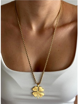 Hercy Uzun Burgu Zincirli Paslanmaz Çelik Yonca Kolye