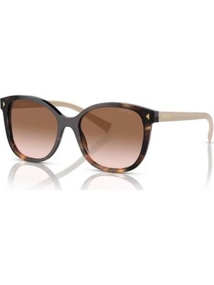 Prada PR22ZS 07R/0A6 53 Kadın Güneş Gözlüğü