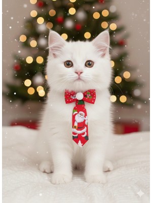 Feyza Design Yılbaşı Temalı Kedi ve Köpek Püsküllü Papyon Takımı