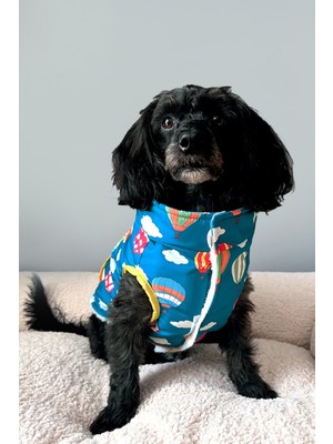 Feyza Design Su Geçirmez Yağmurluk ve Teddy Yelek, Mavi, Köpek Için Iki Taraflı Mont