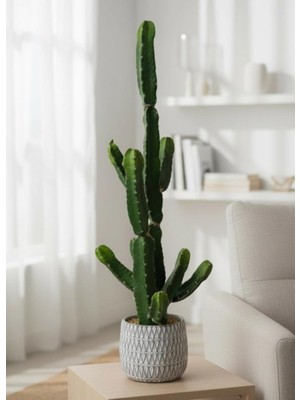 Nettenevime Yapay Kaktüs Euphorbia Ingens Şamdan Ağacı Beton Saksıda Yapay Bitki 70CM