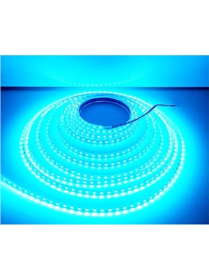 Powerr Led Aydınlatma 12 Volt 8 mm 2835 Smd Turkuaz Iç Mekan 120 Ledli 5 Metre Şerit LED