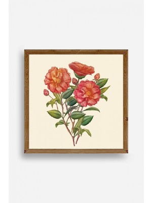 Marsilyan Çiçek Ahşap Çerçeveli Tablo 50 x 50