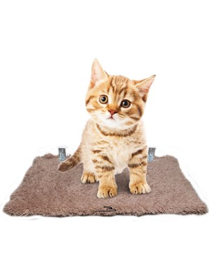 Feyza Design Yumuşak Peluş Kedi Basamağı Seti, Renkli ve Rahat Kullanım