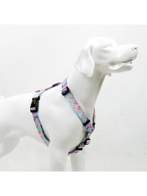 TailPetz Bubbles H-Tipi Göğüs Tasması Ayarlanabilir, Konforlu ve Dayanıklı Desenli Köpek Tasması