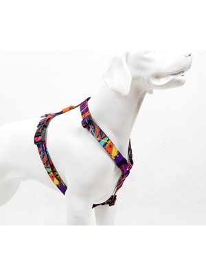 TailPetz Splash H-Tipi Göğüs Tasması Ayarlanabilir, Konforlu ve Dayanıklı Desenli Köpek Tasması