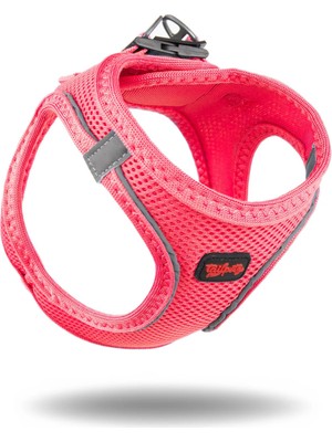 TailPetz Air-Mesh Neon Pembe Göğüs Tasması Yumuşak, Nefes Alabilir ve Dayanıklı Küçük Orta Irk İçin