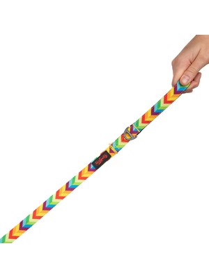 TailPetz Kedi Köpek Sevk & Gezdirme Kayışı Raınbow