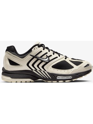 Nike Air Pegasus 2005