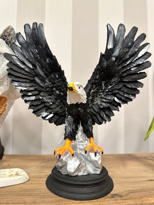 İki Cadı Tasarım Kanatları Açık Kara Kartal, Dekoratif Obje