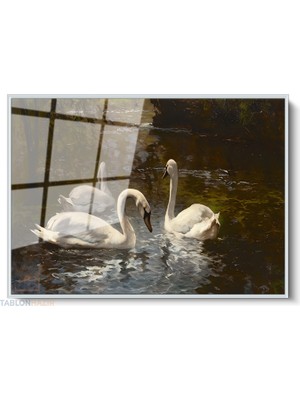 Tablonhazır Çerçeveli Yatay Cam Tablo Salon Duvar Tablosu Yatay Cam Beyazkugular Yeni Ev Hediyesi Ofis Tablosu