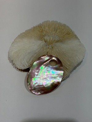 Gemsartdeco Abolane Sedef Kolye Ucu Özel Kesim