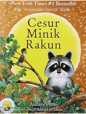 Butik Yayınları Cesur Minik Rakun + Yüz Elbisenin Sırrı + Ilk Okuma Kitabım - Elif’in Kış Macerası + 4 Kitap