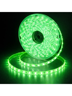 5050 Smd 24V 60 Led/m Iç Mekan 3 Çipli Şerit LED (5 Metre)