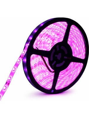 5050 Smd 12V 60 Led/m Iç Mekan 3 Çipli Şerit LED (5 Metre)