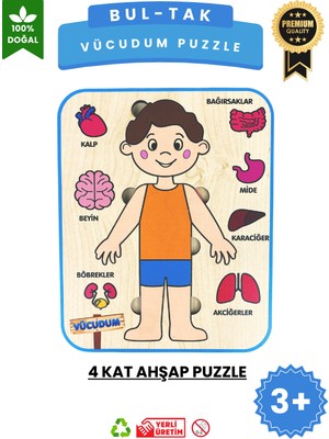 Lapin Deney Atölyesi Vücudumu Keşfediyorum – Erkek Çocuk Vücut ve Organlar Ahşap Puzzle Oyuncak