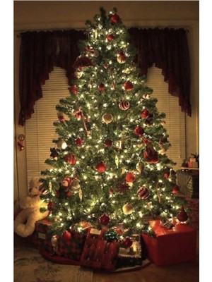 Özbience 200 LED Eklemeli Fişli Dekor Işığı, Animasyonlu 20M Günışığı Yılbaşı Ağacı