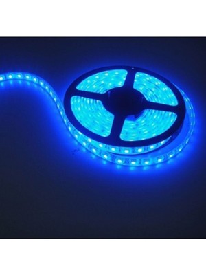 5 Metre 12V Mavi Çipli Iç Mekan LED Şerit Işık