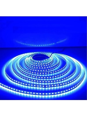 3 Çipli Şerit LED Iç Mekan 5 Metre, Trafosuz Çalışma Özelliği