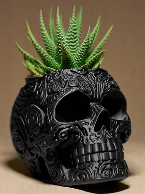 Linova Kafatası Düzenleyici Heykel Biblo Dekoratif Obje