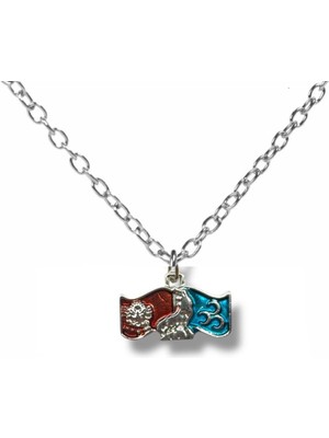 Bozkurt ve Hilal Figürlü Türkiye Haritası Kolye – Gümüş Renk Unisex Metal Takı