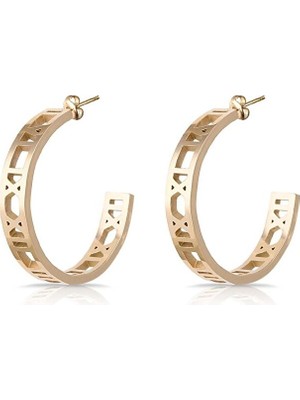 Freelook Orıjınal Kadın Çelik Küpe