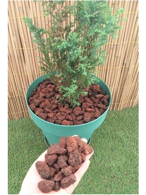 Wishora Store Pomza Taşı 40 Lt 1-2 cm Dekoratif Pomza Taşı Kırmızı Pomza Tarım Pomzası Lav Taşı Cüruf Ponza