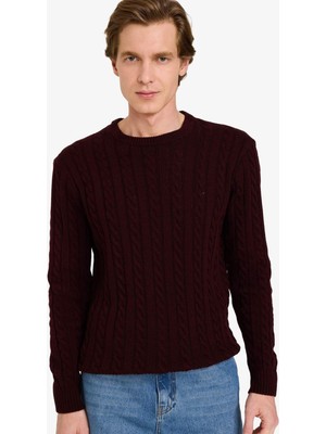 DeFacto Standart Fit Bisiklet Yaka Saç Örgülü Triko Kazak G6388AX25CW