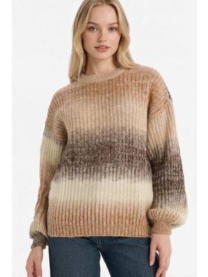 DeFacto Regular Fit Bisiklet Yaka Renkli Triko Kazak G8226AX25WN