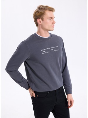 Altınyıldız Classics Antrasit Erkek Bisiklet Yaka Standart Sweatshirt ACE052261045_ATR