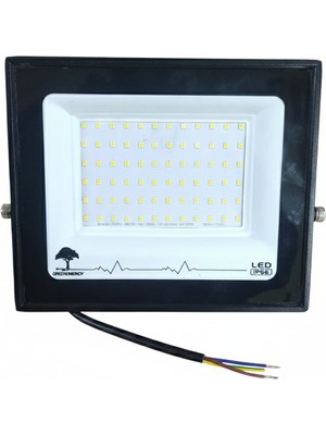 100W LED Projektör IP66 Beyaz Işık