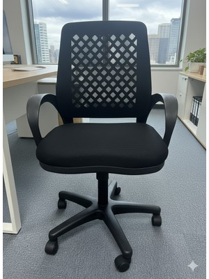 Ergonomik File Sırtlı Ofis ve Çalışma Koltuğu – Rahat Sünger Oturum, Yönetici Koltuğu