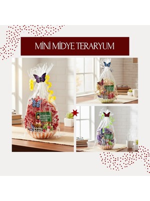 Kaia Mini Midye Teraryum  Öğretmenler Günü Hediyesi