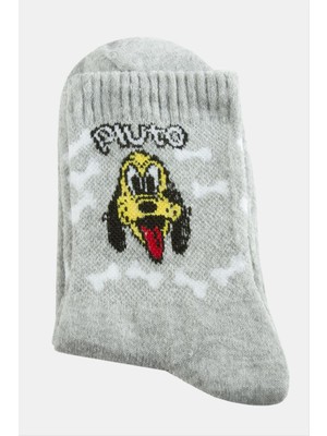 Zero Ozlstor Köpek Kolej Çorap 8X28-GRI