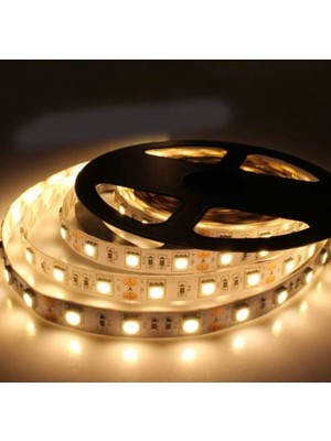 Özbience Mutfak Tezgah Üstü 5 Metre Gün Şerit Led, 12V Adaptörlü, Açık/kapalı Anahtarlı
