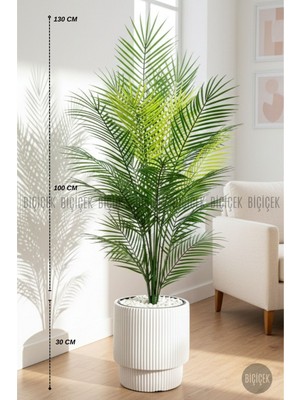 Biçiçek Areka Ağacı 24 Yapraklı 130 cm Vega Saksıda