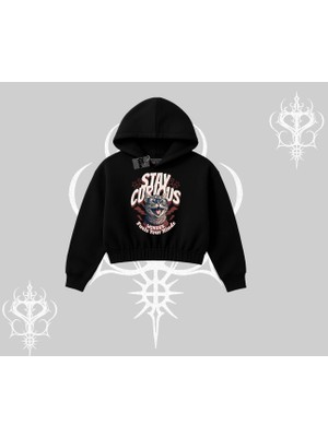 Stay Curious Kedi Baskılı Kapşonlu Crop Sweatshirt