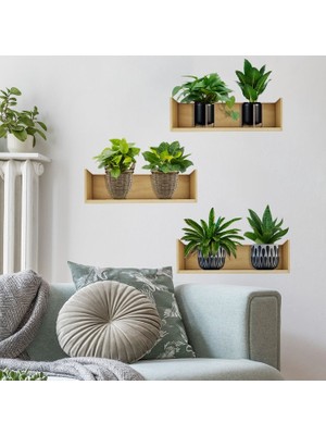 Raflı Bitki Tasarımlı Yapışkanlı Sticker 20*30 cm 3lü Set (5224)