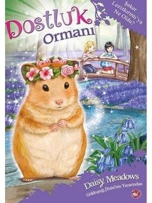 Hatıra Kutusu Dostluk Ormanı 9 - Şeker Lezizkırıntıya Ne Oldu