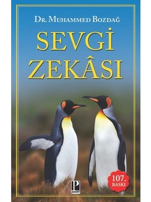 Hatıra Kutusu Sevgi Zekâsı