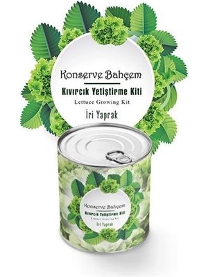 Teknokapsül® Konserve Bahçem Evde Konservede Iri Yapraklı Kıvırcık Yetiştirme Kiti