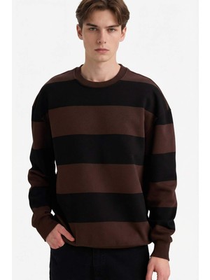 DeFacto Boxy Fit Bisiklet Yaka Çizgili Sweatshirt A9066AX25AU