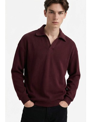 DeFacto Boxy Fit Polo Yaka Sweatshirt G6475AX25WN