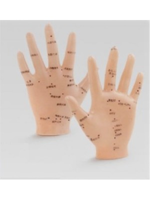 Enerji Akışı El Maketi