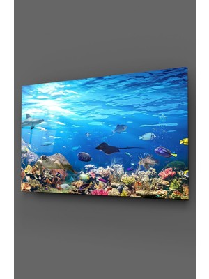 Marsilyan Akvaryum Cam Tablo