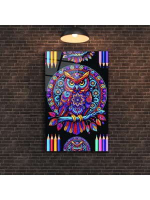 Marsilyan Renkli Baykuş Cam Tablo