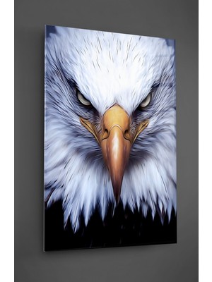 Marsilyan Kartal Cam Tablo