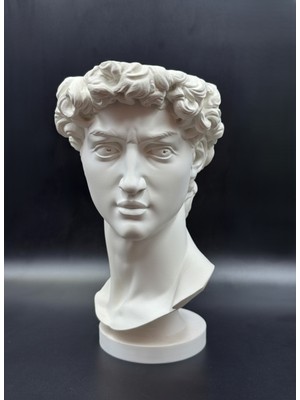 Michelangelo'nun David Heykeli - Dekoratif Saksı