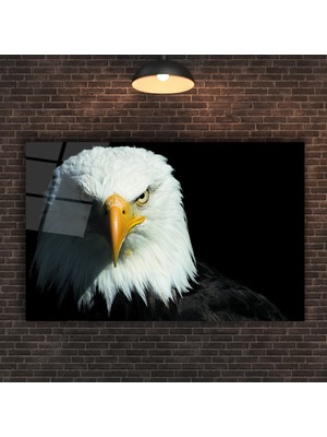 Marsilyan Bozkurt ve Türk Bayrağı Cam Tablo